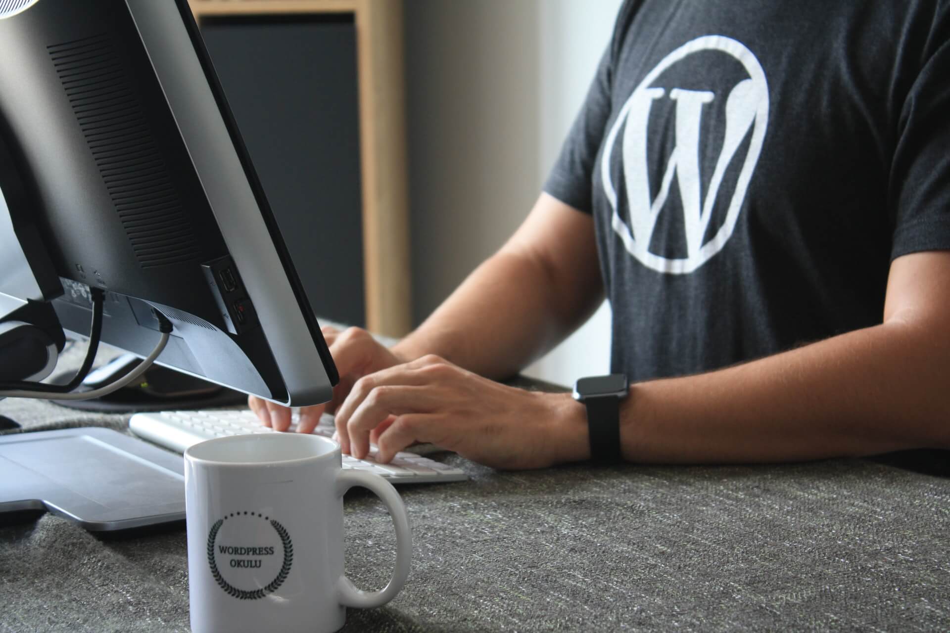 Looking for the Best WordPress Themes for your new blog